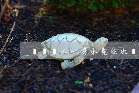 開車濺人一身水，竟然也違法？